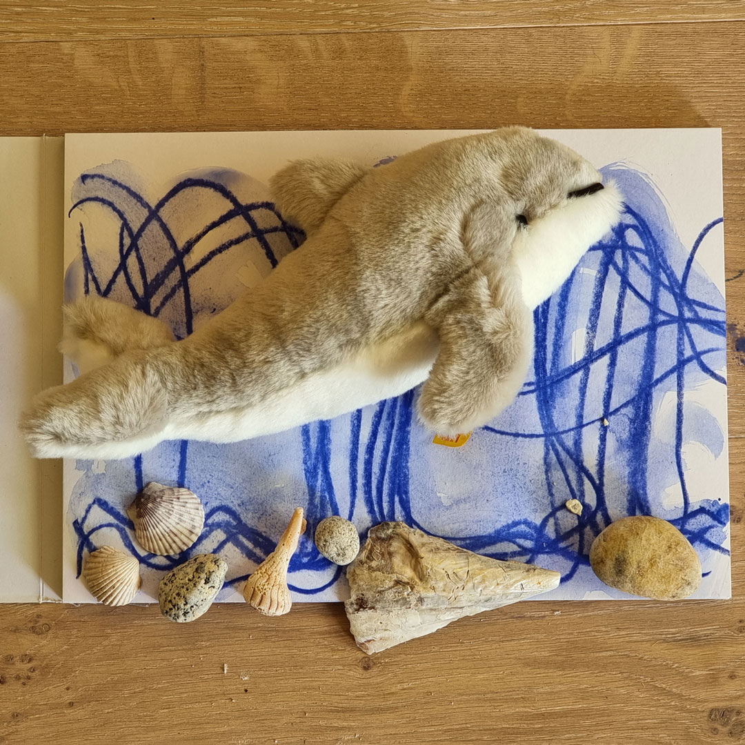 Unterwegs mit dem Schweinswal