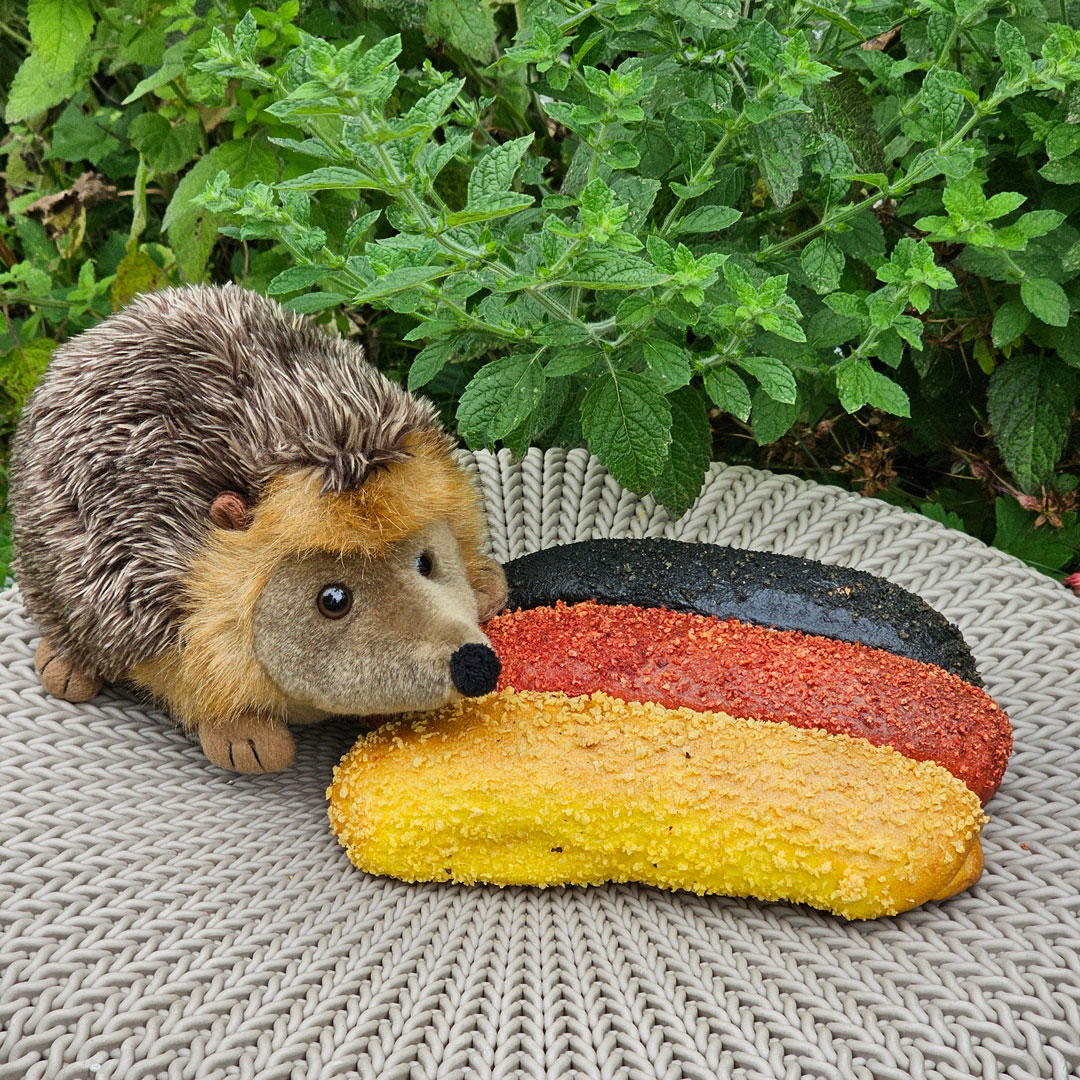 Igel in der Fanzone