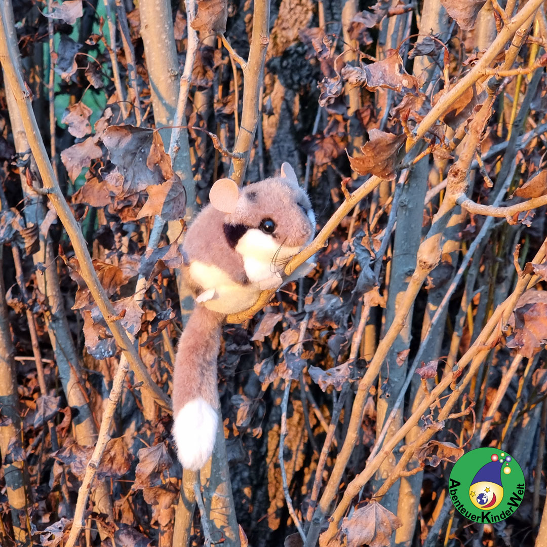 Versteckt - entdeckt!