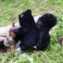 Wo ist das Eichhörnchen